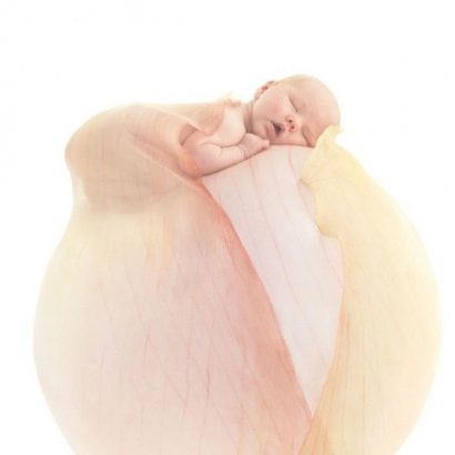 Pack Regalo para Bebés. Anne Geddes - Imagen 6