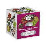 Tisana Frutas del Bosque Bio - Provence d'Antan - 24 bolsitas