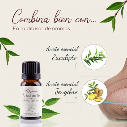 Aceite Esencial de Árbol de Té - Labiatae - 12 ml - Imagen 2