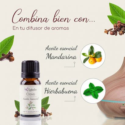 Aceite Esencial de Clavo - Labiatae - 12 ml - Imagen 2