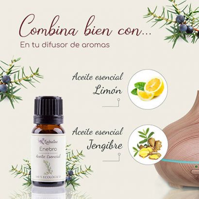 Aceite Esencial de Enebro - Labiatae - 12 ml - Imagen 2