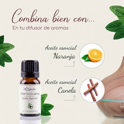 Aceite Esencial de Hierbabuena - Labiatae - 12 ml - Imagen 2