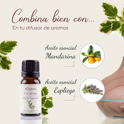 Aceite Esencial de Incienso - Labiatae - 5 ml - Imagen 2