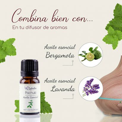Aceite Esencial de Pachuli - Labiatae - 12 ml - Imagen 2