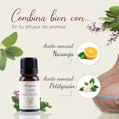 Aceite Esencial de Salvia - Labiatae - 12 ml - Imagen 2